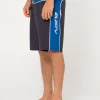 Rusty Burner 21\\ | Mens Boardshorts